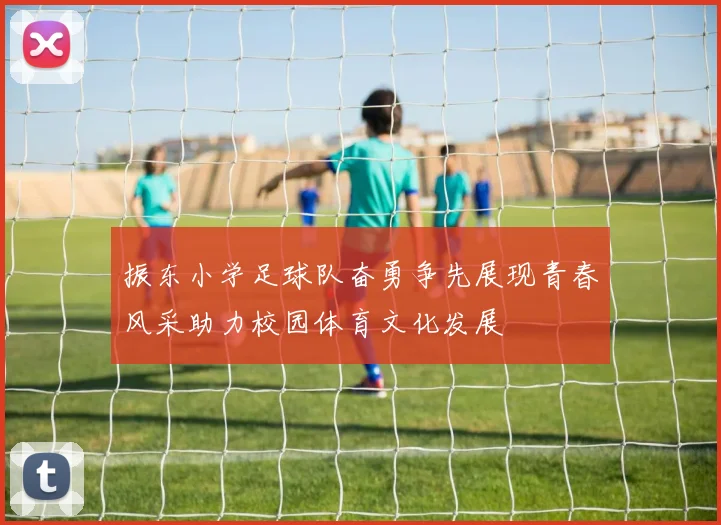 振东小学足球队奋勇争先展现青春风采助力校园体育文化发展