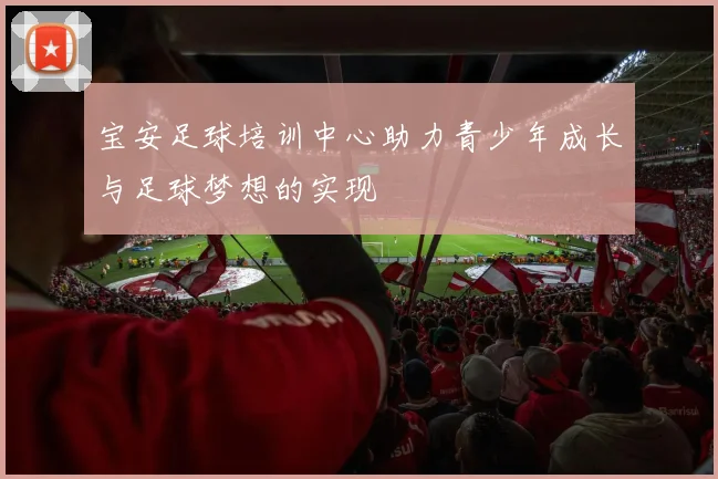 宝安足球培训中心助力青少年成长与足球梦想的实现