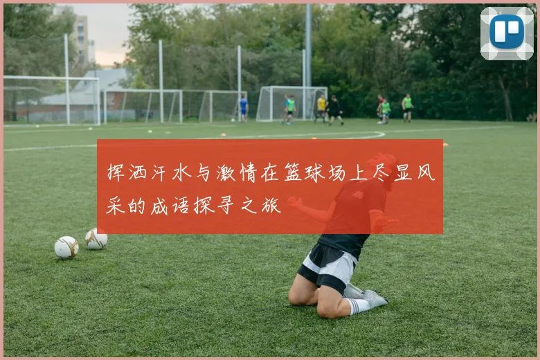 挥洒汗水与激情在篮球场上尽显风采的成语探寻之旅